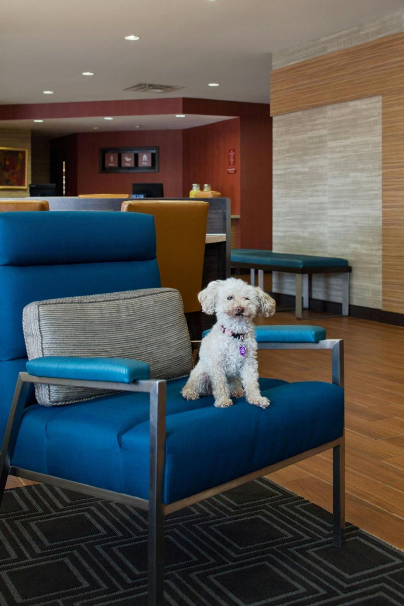 Towneplace Suites By Marriott Austin Round Rock Kültér fotó